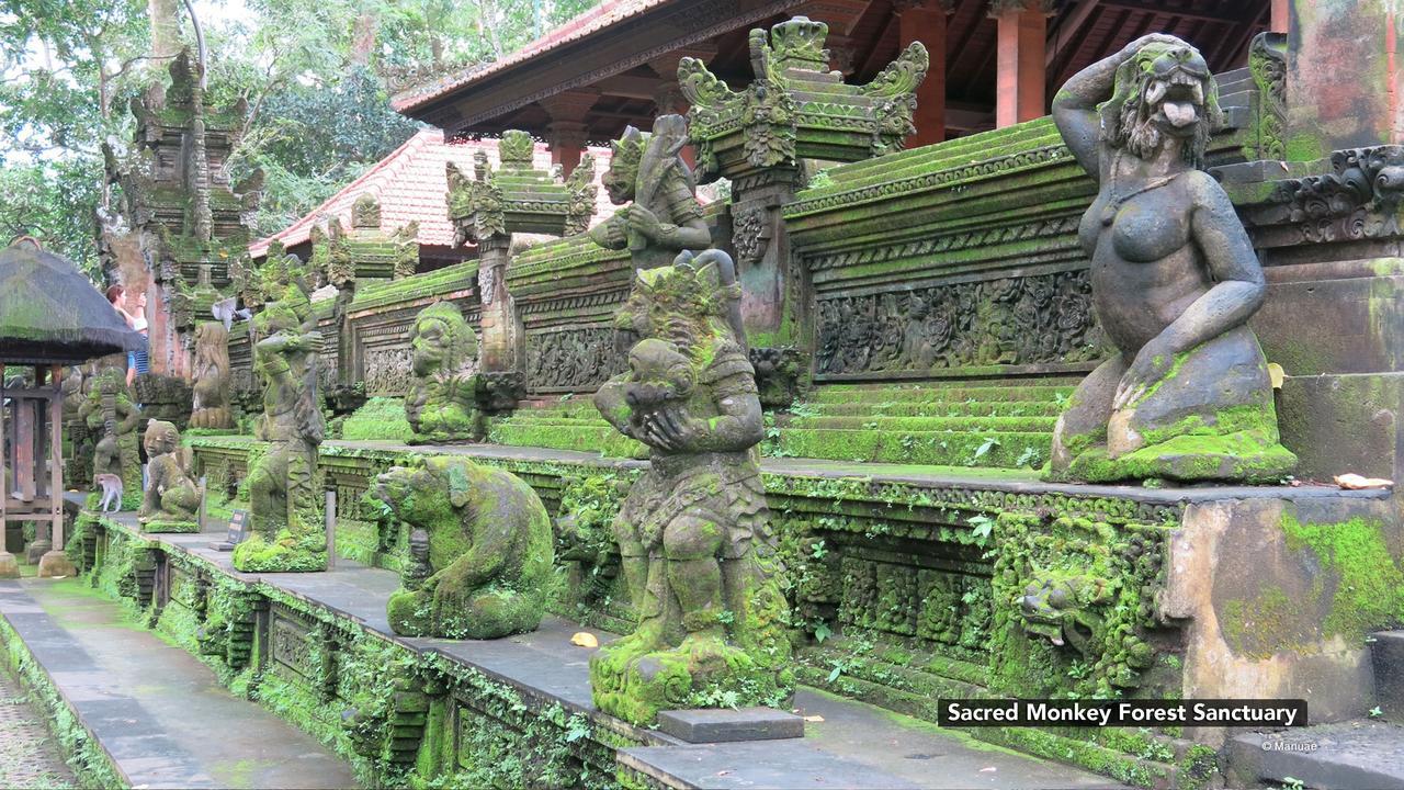 Zen Premium Nyuh Bojog Ubud Экстерьер фото